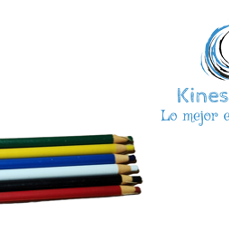 LÁPIZ PARA TERMOPLÁSTICO  1