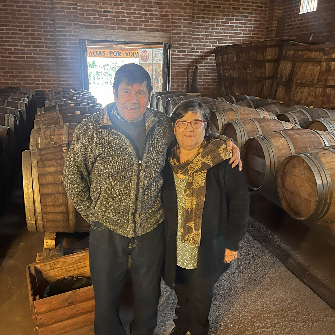 Tour todo incluido Doñihue 1