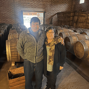 Tour todo incluido Doñihue