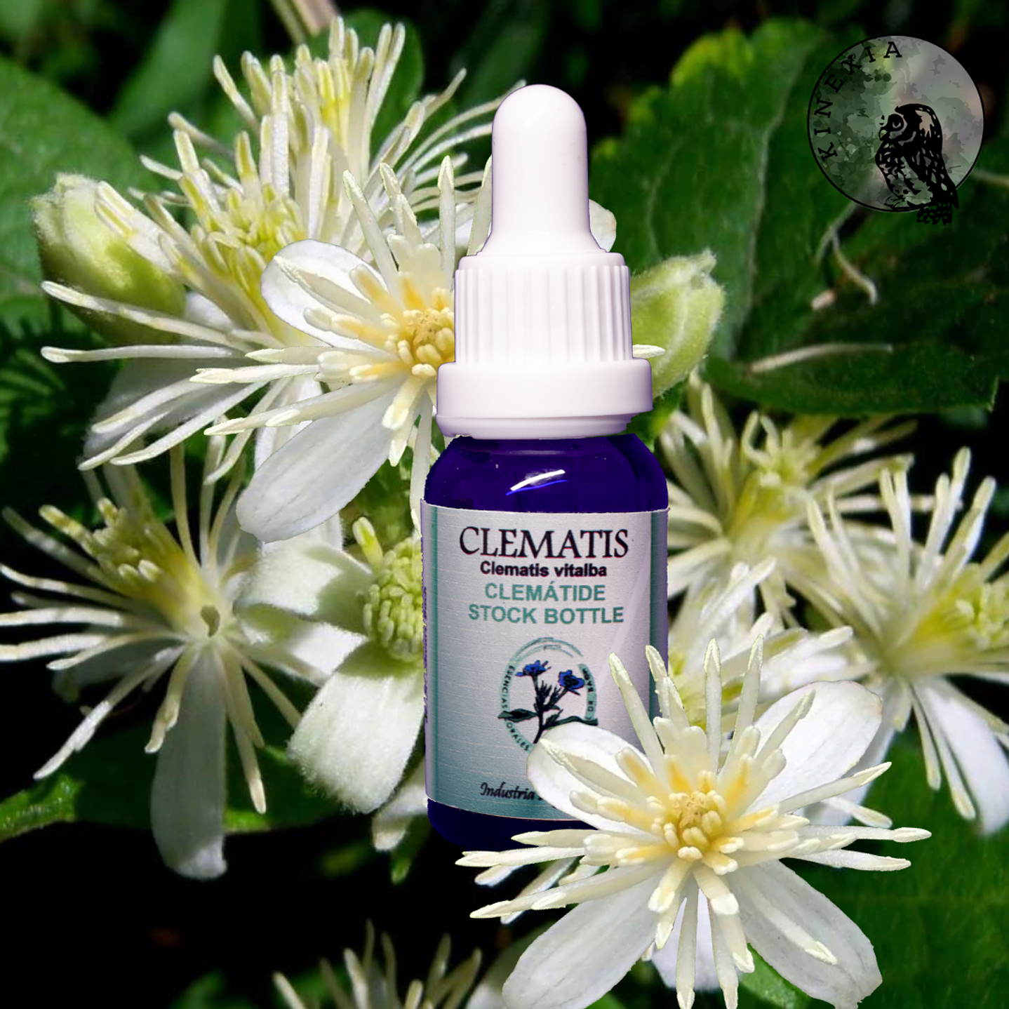 Clematis 15ml