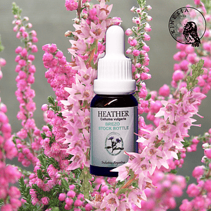 Heather 15ml