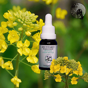 Mustard 15ml