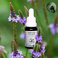 Vervain - Verbena 15ml - Miniatura 2