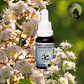 White Chestnut 15ml - Miniatura 2