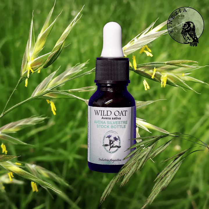 Wild Oat 15ml