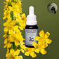 Agrimony 30ml - Miniatura 2