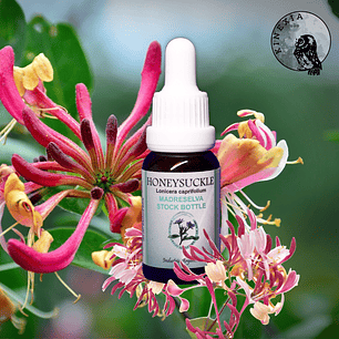 Honeysuckle 30ml