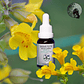 Mimulus 30ml - Miniatura 2