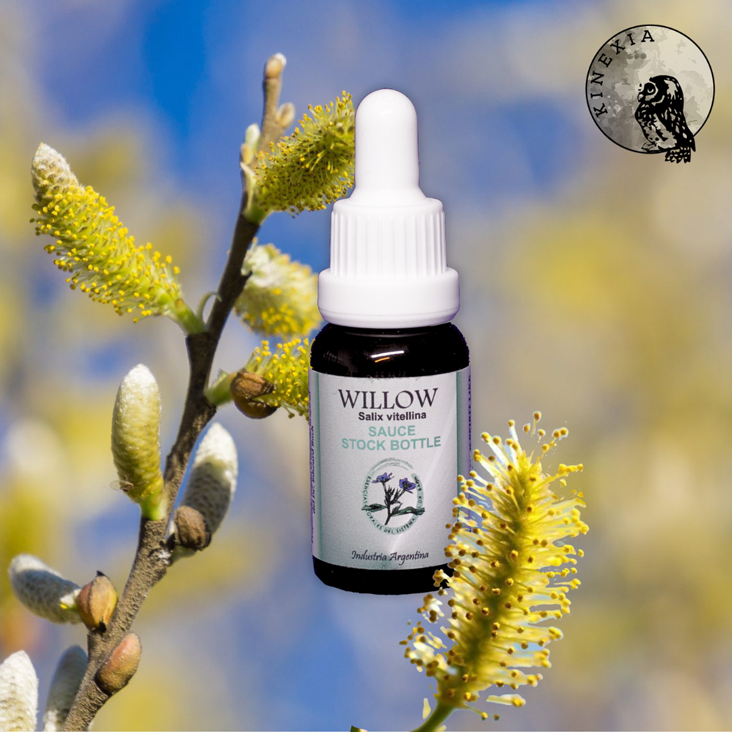 Willow 30ml