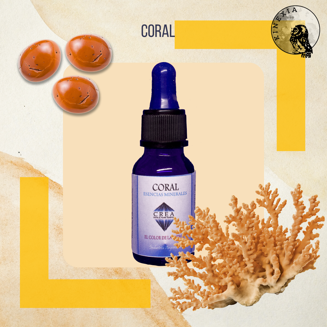 Coral 15ml