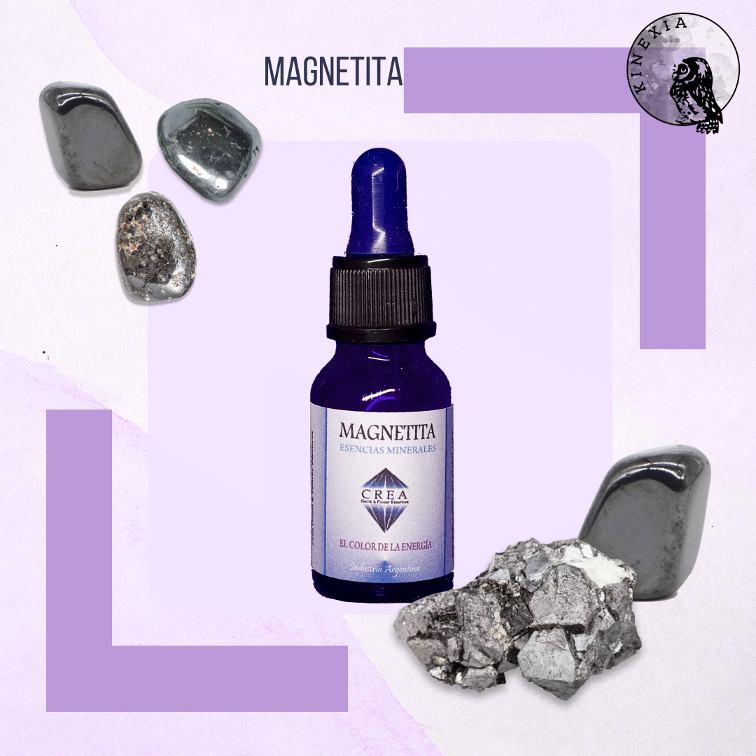 Magnetita 15ml
