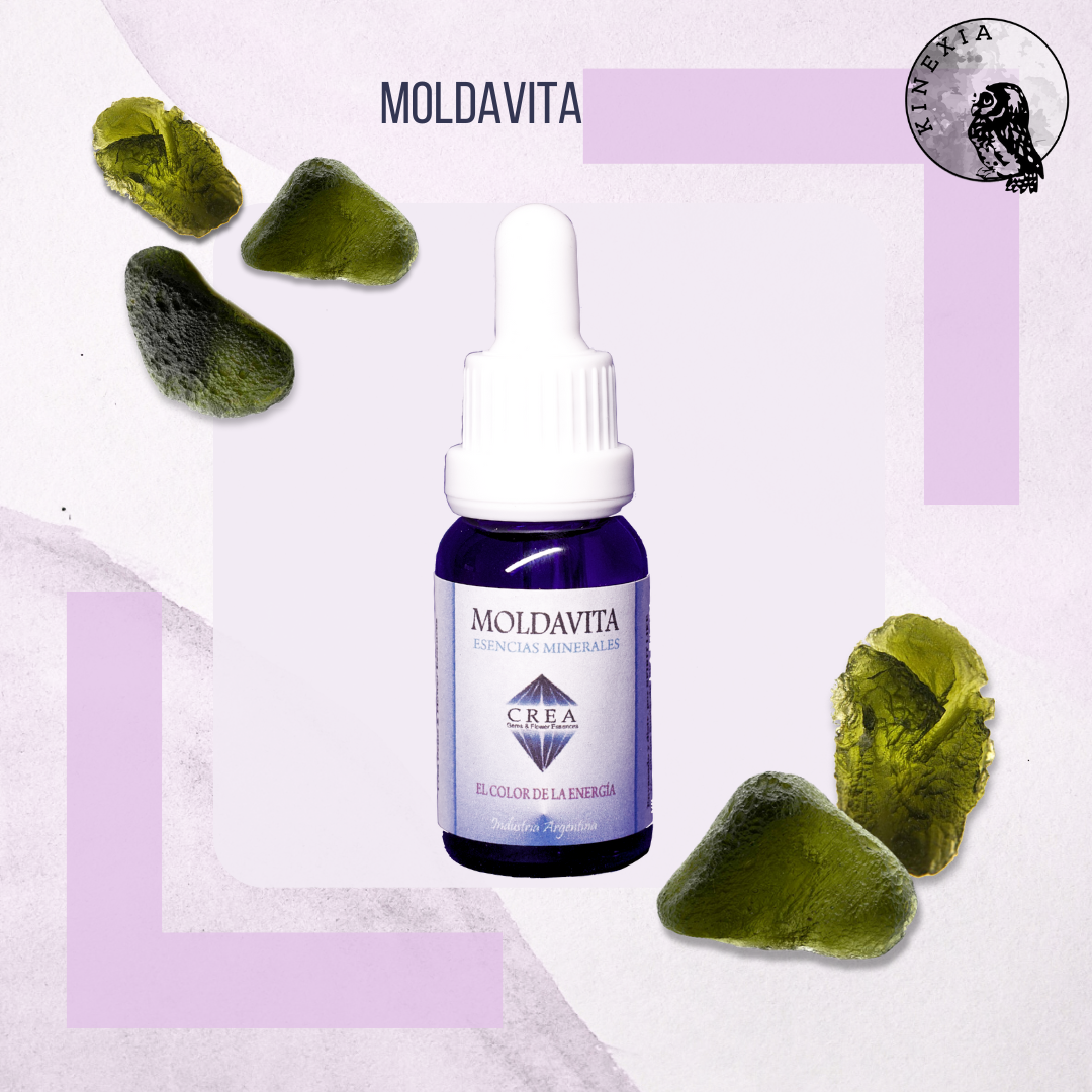 Moldavita 15ml