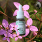 Boronia 15ml - Miniatura 2