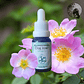 Dog Rose 15ml - Miniatura 2