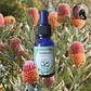 Banksia Robur 15ml - Miniatura 2