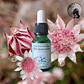 Pink Flannel Flower 15ml - Miniatura 2