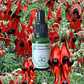 Sturt Desert Pea 15ml - Miniatura 2