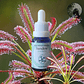 Sundew 15ml - Miniatura 2