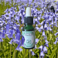 Bluebell 15ml - Miniatura 2
