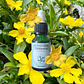 Hibbertia 15ml - Miniatura 2