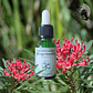 Monga Waratah 15ml - Miniatura 2