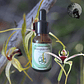 Green Spider Orchid 15ml - Miniatura 2