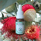 Macrocarpa 15ml - Miniatura 2
