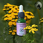 Tansy 15ml - Miniatura 2