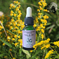Goldenrod 15ml - Miniatura 2