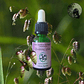 Quaking Grass 15ml - Miniatura 2