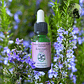 Rosemary 15ml - Miniatura 2