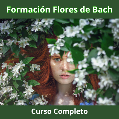 Formación Flores de Bach