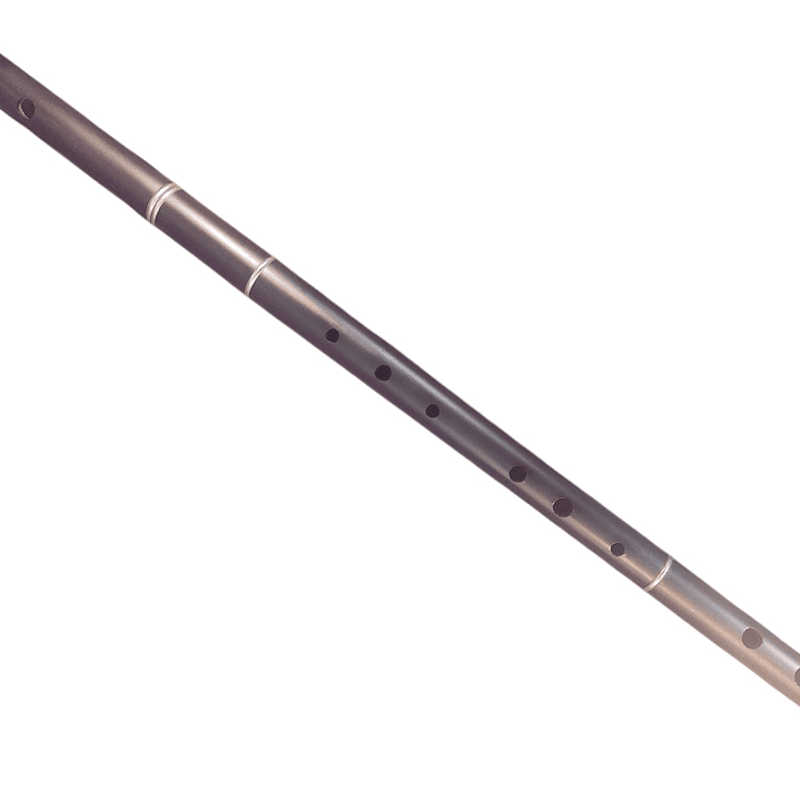 Iris Flute - Flauta Traversa Irlandesa 2