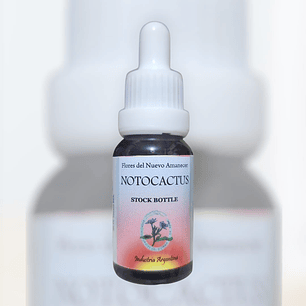 Notocactus