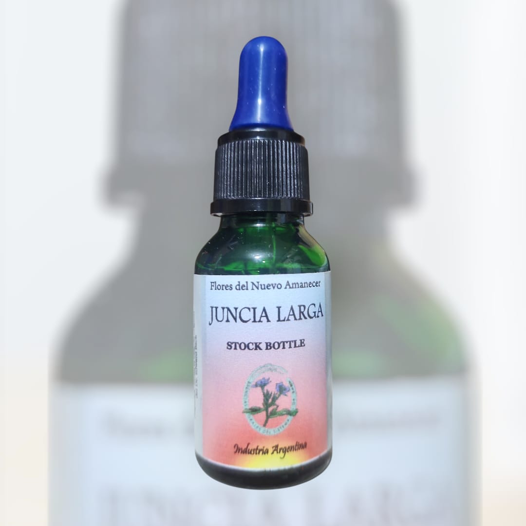 Juncia Larga