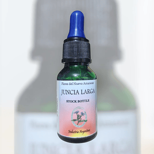 Juncia Larga