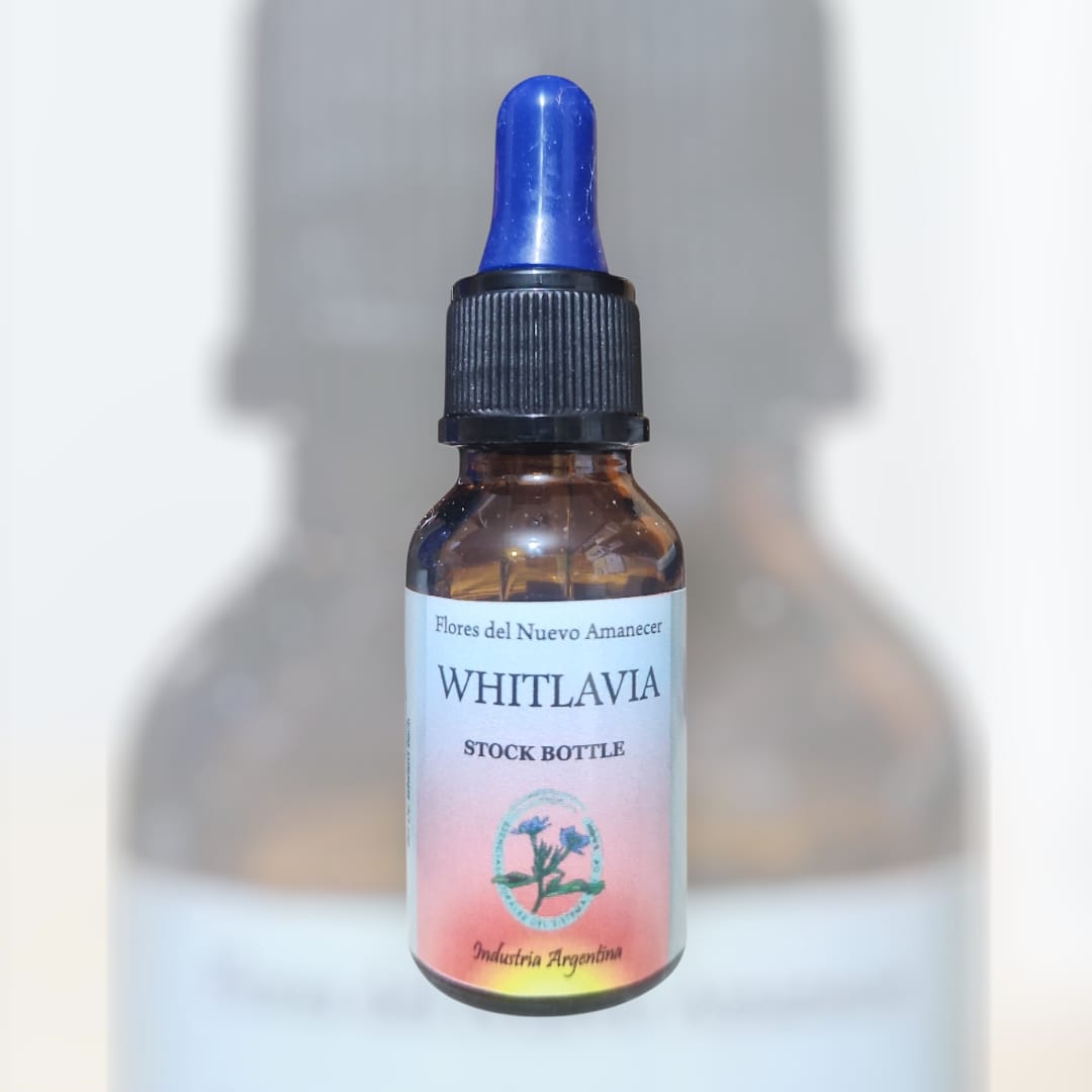 Whitlavia