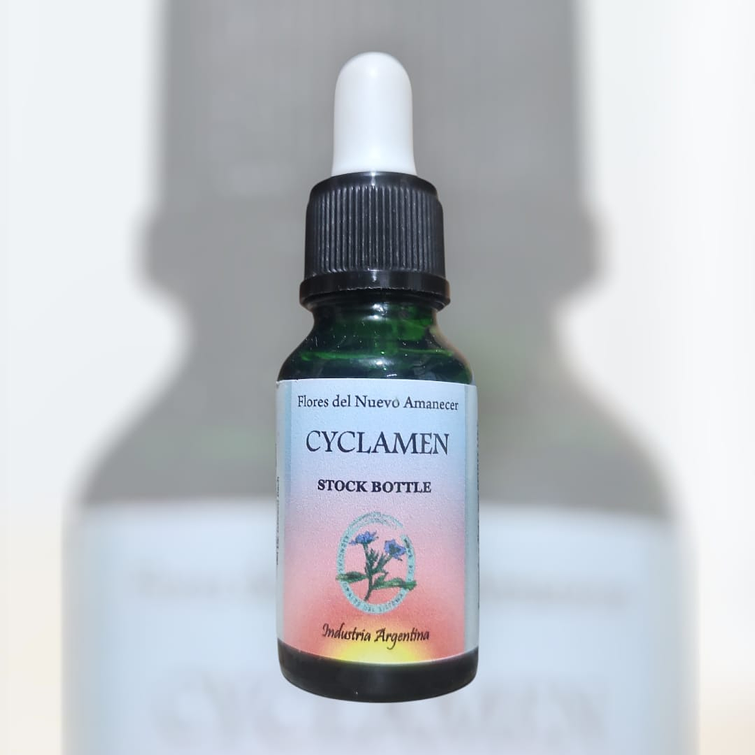 Cyclamen 1