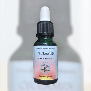 Cyclamen