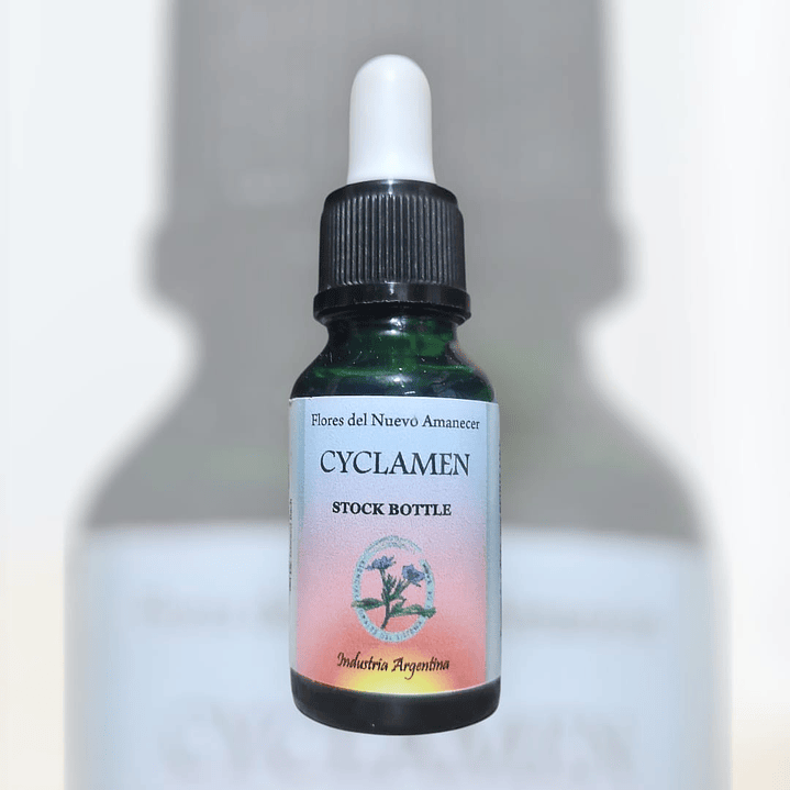 Cyclamen 1