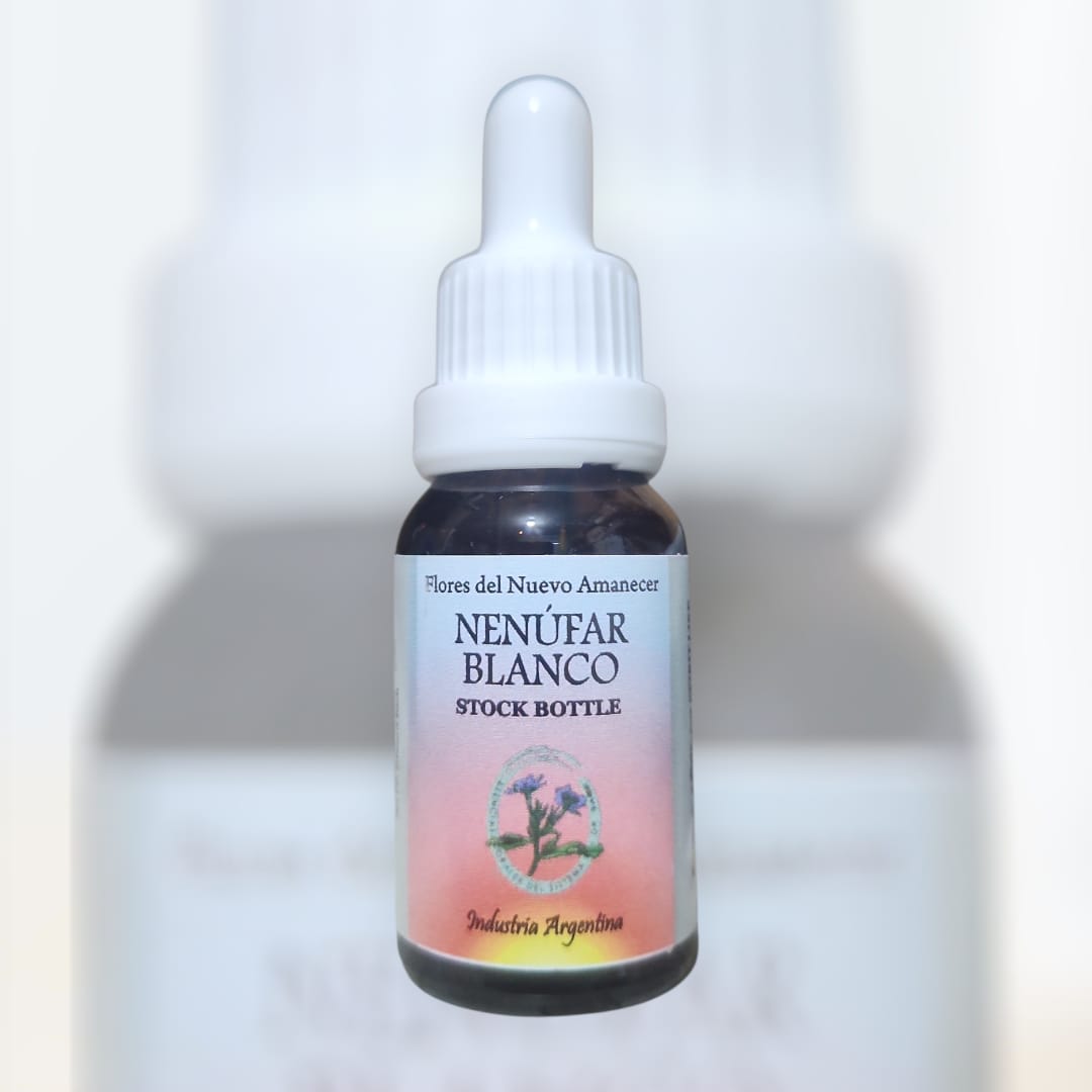 Nenufar Blanco