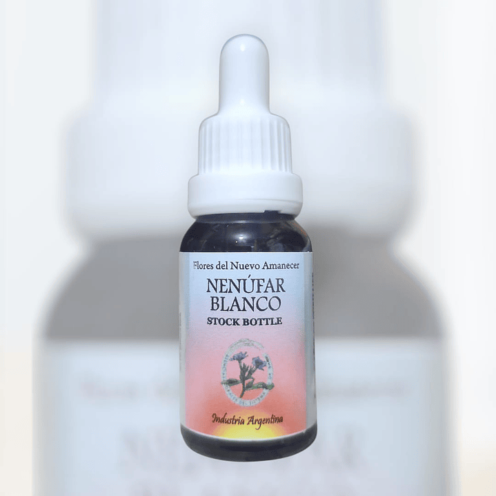Nenufar Blanco 1