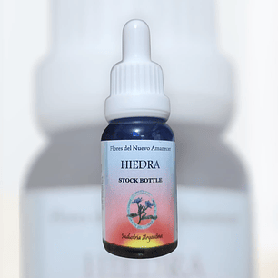 Hiedra