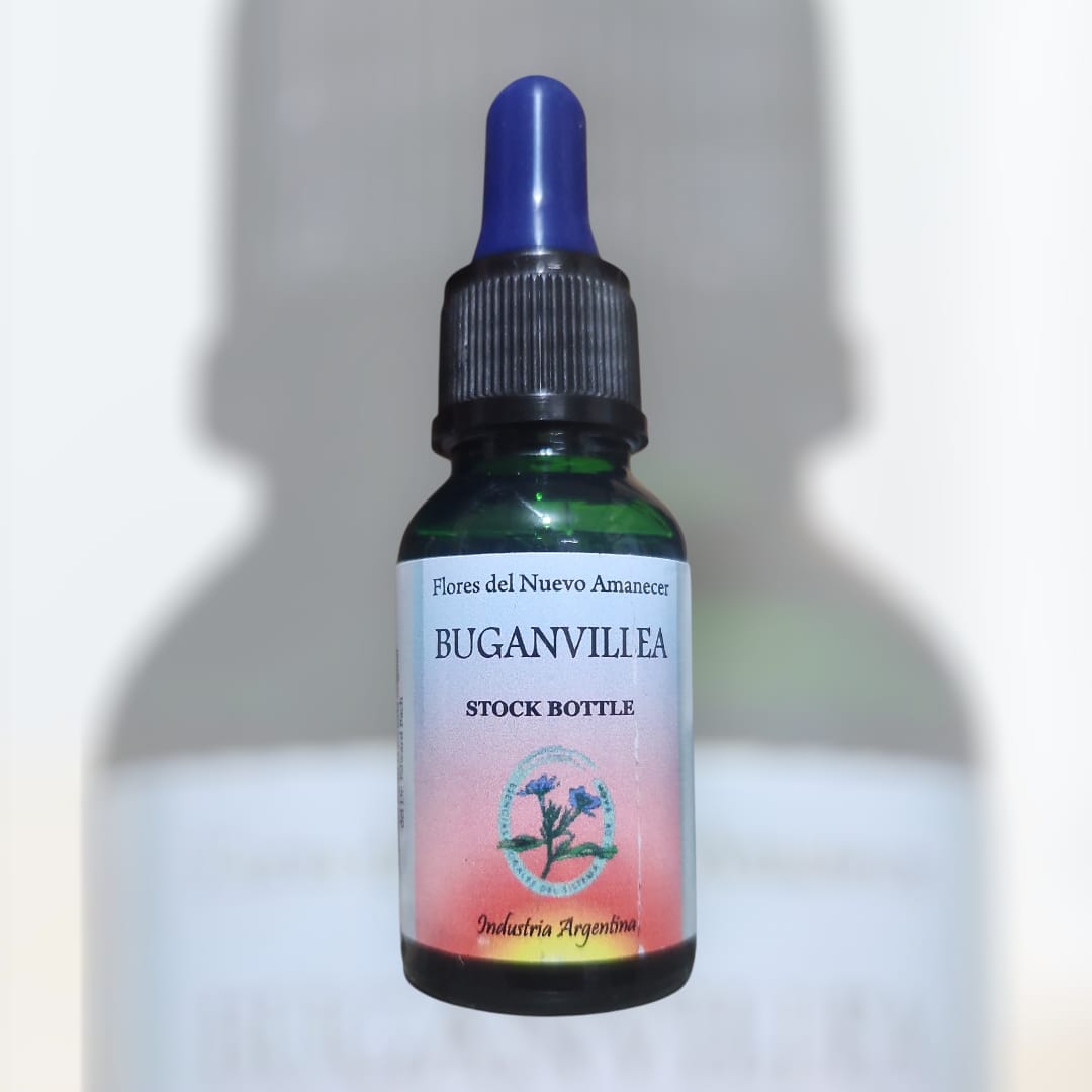 Buganvillea