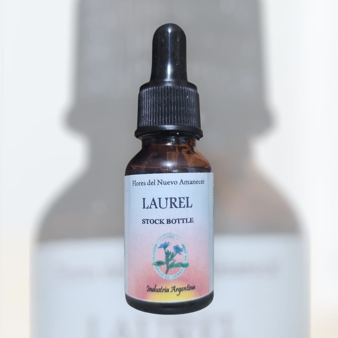 Laurel