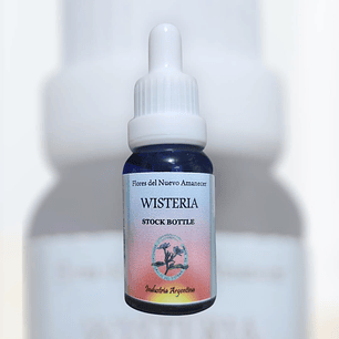 Wisteria