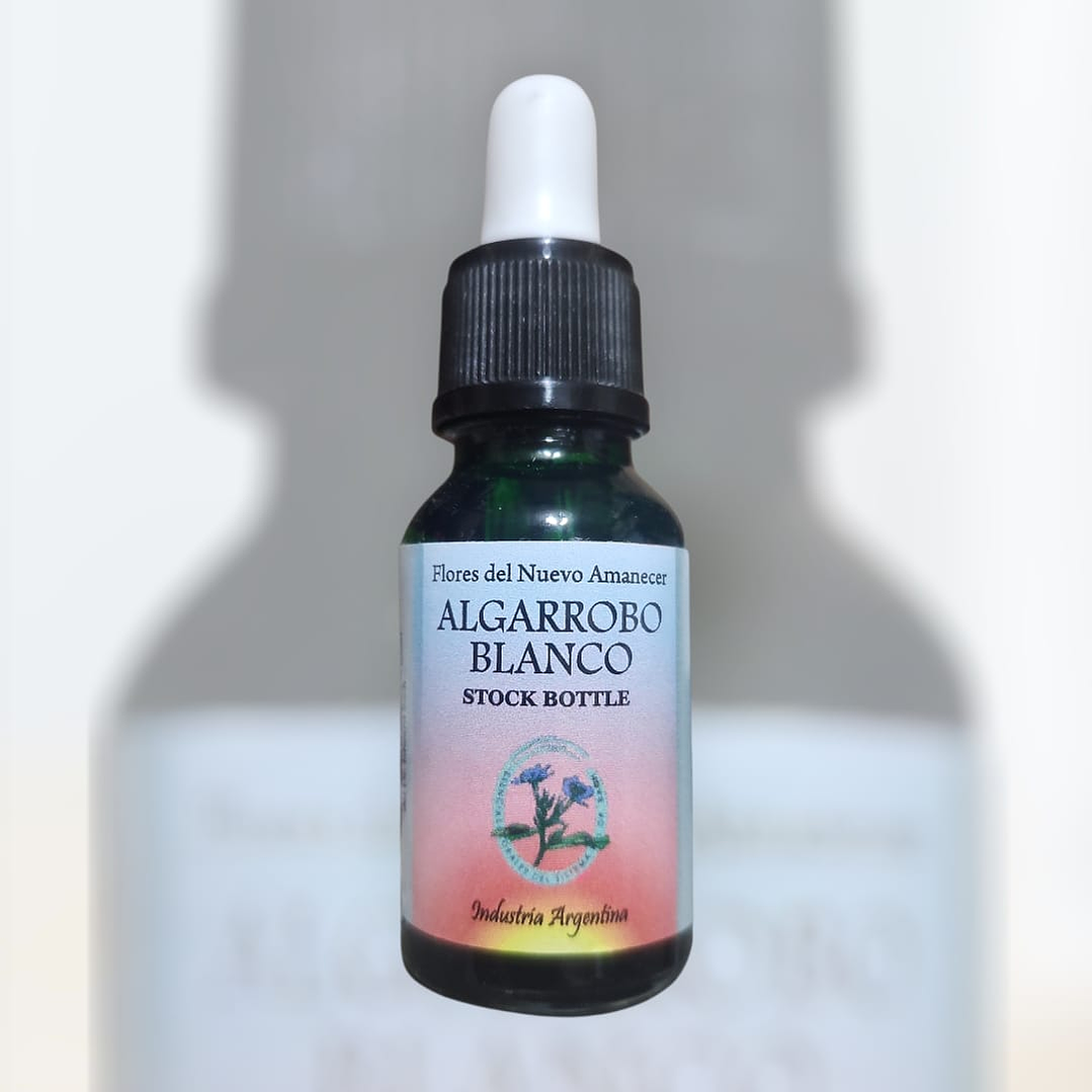 Algarrobo Blanco   1