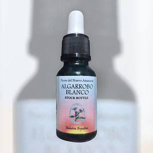 Algarrobo Blanco  