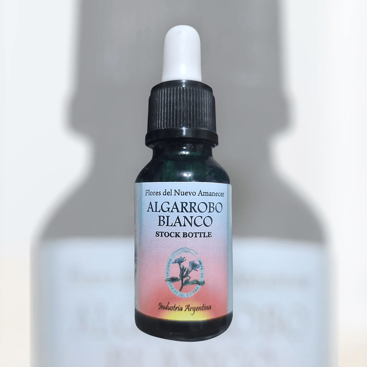 Algarrobo Blanco   1