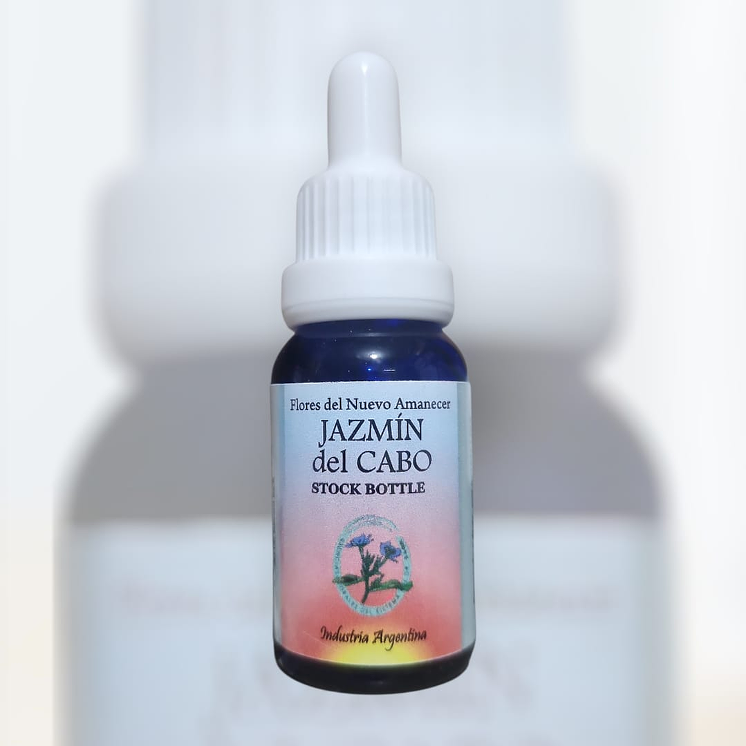 Jazmín del Cabo 1
